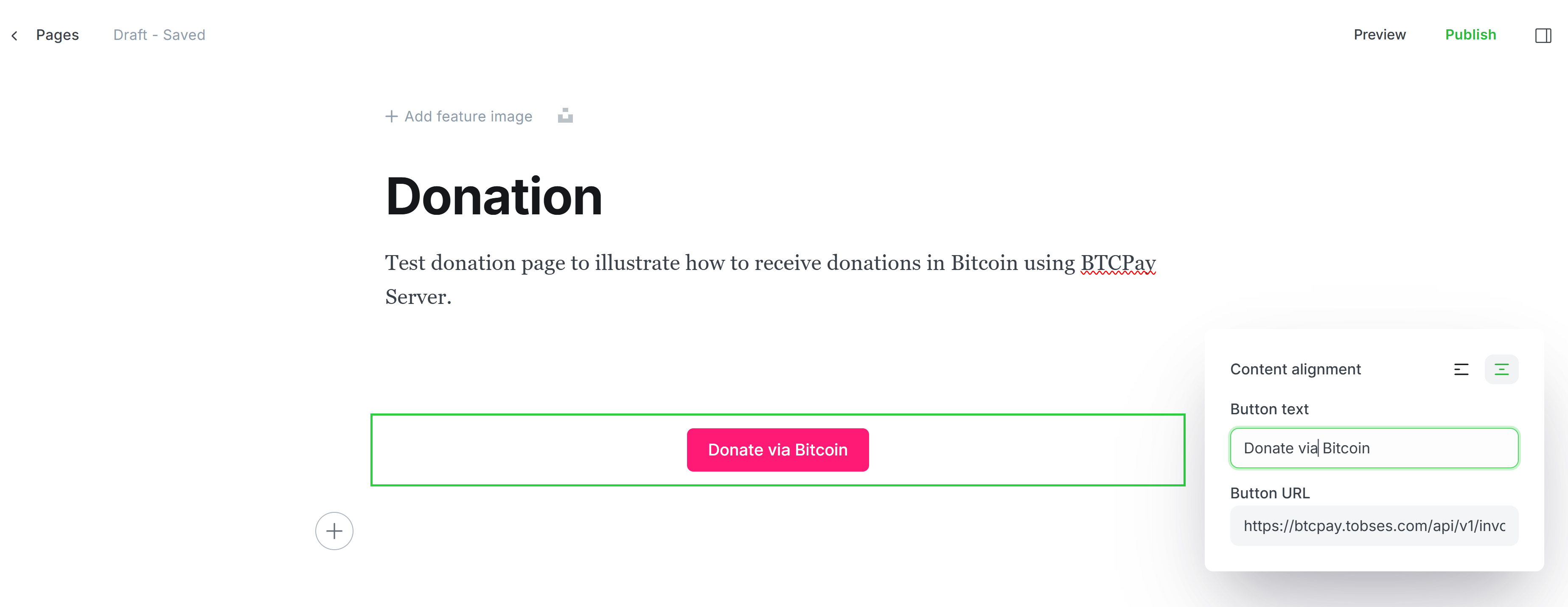 BTCPay Server Ghost img 8